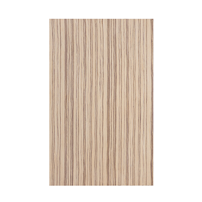 Veneer Choice#10